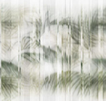 Фотообои Factura FLOWERS TROPICANO 2